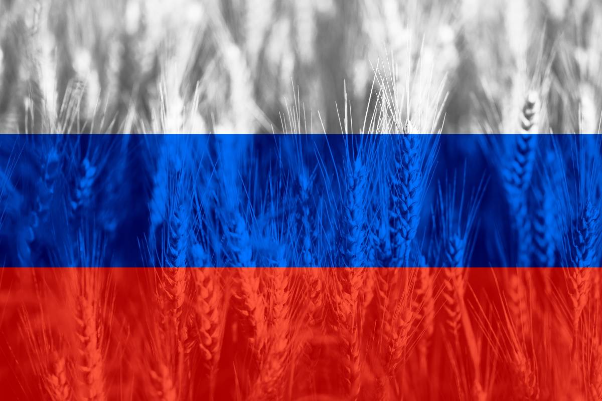 Россия место в мире по экспорту зерна