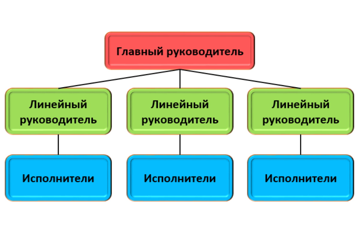 линейная структура управления иерархия